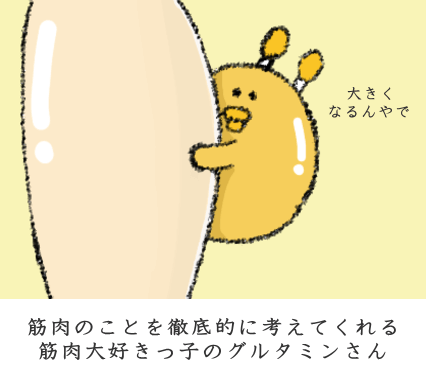 グルタミンはこんなにも筋肉フェチ グルタミンはこんなにも筋肉フェチ