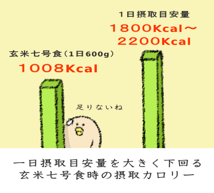 カロリー不足による脂肪燃焼効果