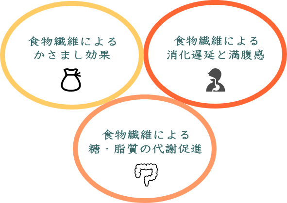 食物繊維の役割 食物繊維の役割