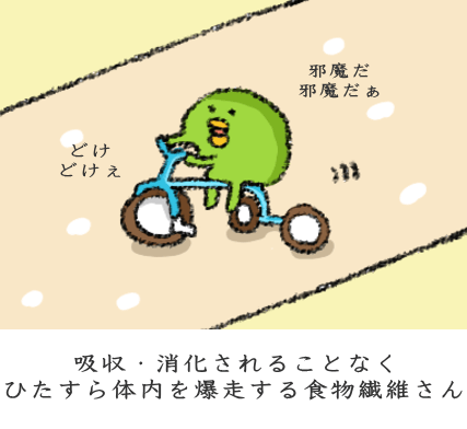 吸収・消化されることなくひたすら体内を爆走する食物繊維さん 吸収・消化されることなくひたすら体内を爆走する食物繊維さん