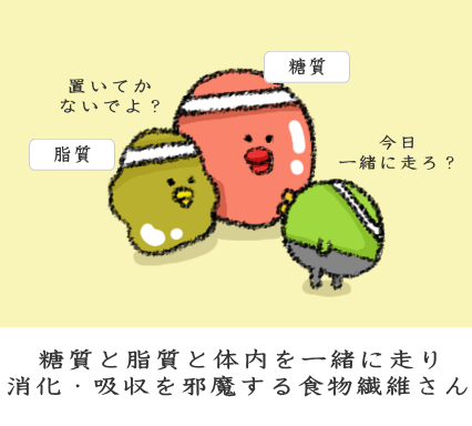 糖質と脂質と体内を一緒に走り消化・吸収を邪魔する食物繊維さん
糖質と脂質と体内を一緒に走り消化・吸収を邪魔する食物繊維さん
