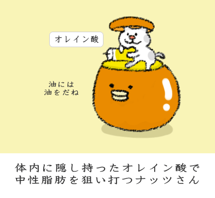オレイン酸を持つナッツ オレイン酸を持つナッツ