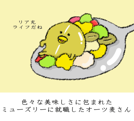 ミューズリーに含まれる様々な食品 ミューズリーに含まれる様々な食品