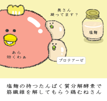 塩麹の持つたんぱく質分解酵素で筋繊維を解してもらう鶏むねさん
塩麹の持つたんぱく質分解酵素で筋繊維を解してもらう鶏むねさん