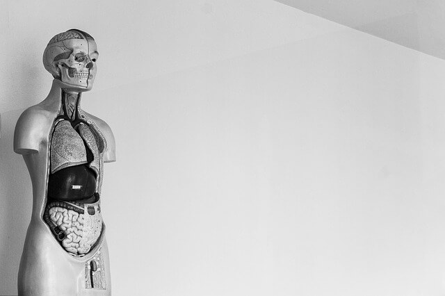 腹筋ローラーで筋肉痛を起こすには? 腹筋ローラーで筋肉痛を起こすには?