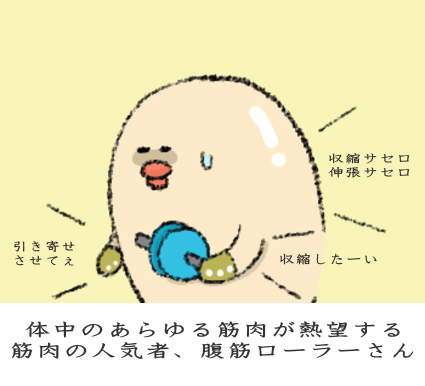 体中のあらゆる筋肉が熱望する筋肉の人気者、腹筋ローラーさん 体中のあらゆる筋肉が熱望する筋肉の人気者、腹筋ローラーさん
