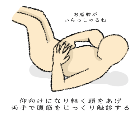 触診により腹筋を確認する図