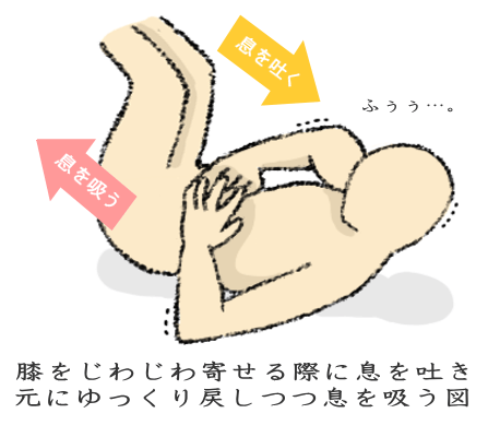 超低速クランチの動き 超低速クランチの動き