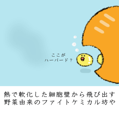 熱で軟化した細胞壁から飛び出す野菜由来のファイトケミカル坊や
熱で軟化した細胞壁から飛び出す野菜由来のファイトケミカル坊や