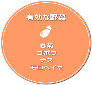 春菊・ゴボウ・ナス・モロヘイヤ 春菊・ゴボウ・ナス・モロヘイヤ