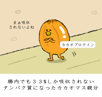 腸内でも33%しか吸収されないタンパク質になったカカオマス親分
腸内でも33%しか吸収されないタンパク質になったカカオマス親分