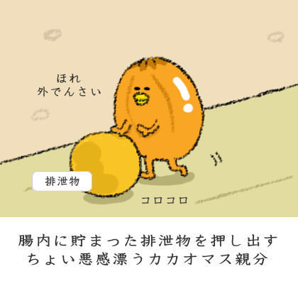 腸内に貯まった排泄物を押し出すちょい悪感漂うカカオマス親分 腸内に貯まった排泄物を押し出すちょい悪感漂うカカオマス親分