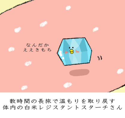 柔らかな温度を取り戻すレジスタントスターチ 柔らかな温度を取り戻すレジスタントスターチ