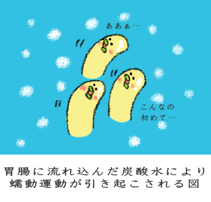 炭酸の刺激で生まれる蠕動運動