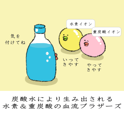 血流改善のお仕事をする二つのイオン 血流改善のお仕事をする二つのイオン
