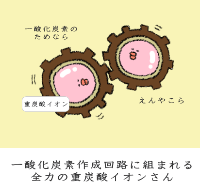 血中ＰＨを下げる回路憎まれる重炭酸イオン