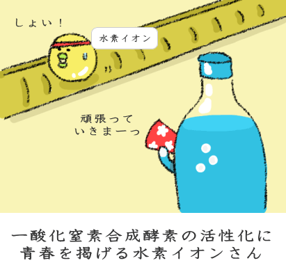 血中PHを下げる回路憎まれる重炭酸イオン 血中PHを下げる回路憎まれる重炭酸イオン