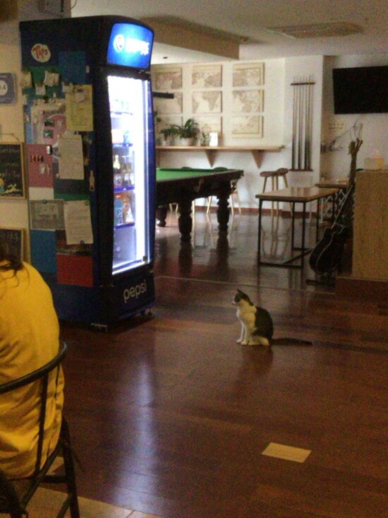 値段の異なる、二種類の桂林川下りツアー 値段の異なる、二種類の桂林川下りツアー