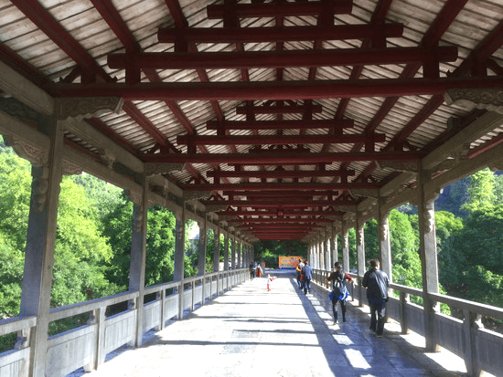 広大な自然に包まれた七星公園