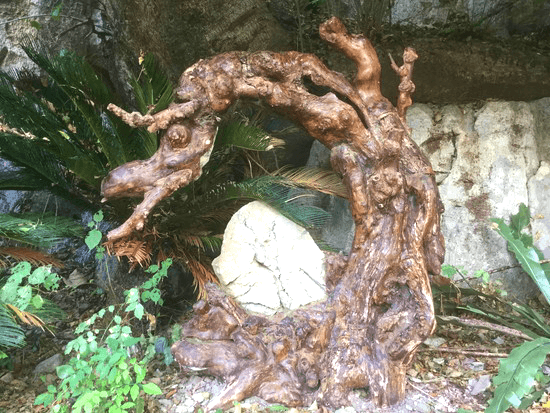 七星岩の木の龍と石の卵