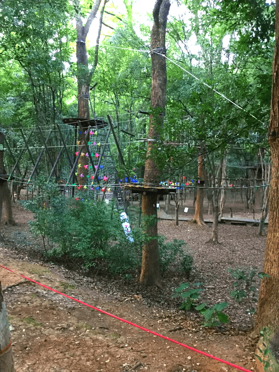 七星公園内の遊歩道