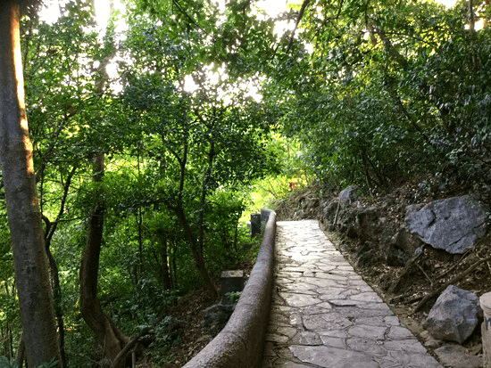 七星公園内の遊歩道