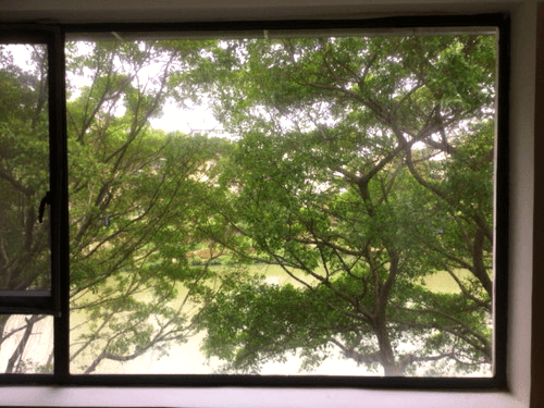 桂林のドミトリーHIGH PARK 桂林のドミトリーHIGH PARK