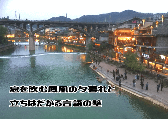 f:id:nekoyamachan:20180525205513p:plain f:id:nekoyamachan:20180525205513p:plain