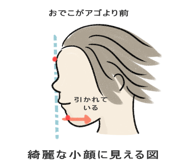 イラスト超考察 永続的な小顔の作り方のロジックを学ぼう ねこやまローカボ日誌