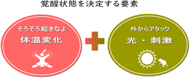 覚醒状態を決定する要素