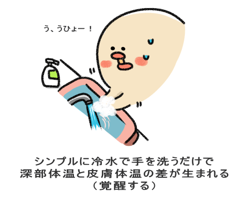 シンプルに冷水で手を洗うだけで 深部体温と皮膚体温の差が生まれる （覚醒する）