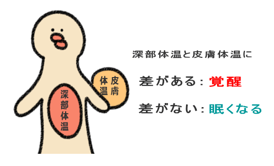 深部体温と皮膚体温に差があると覚醒、差が縮まると眠い