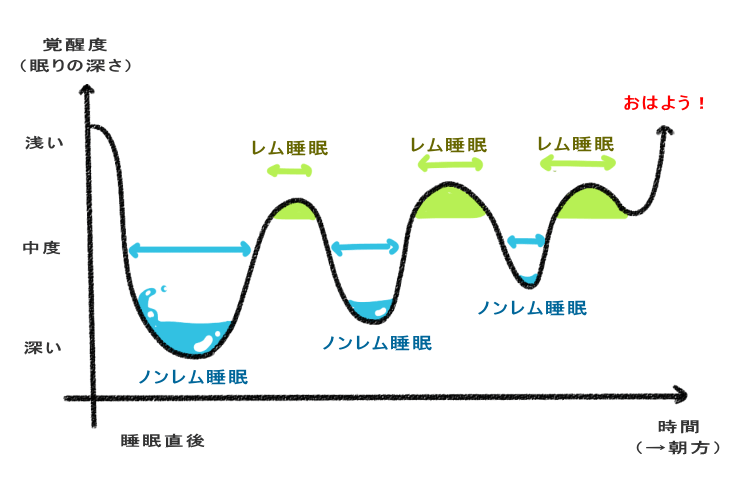 ノンレム・レム睡眠の図