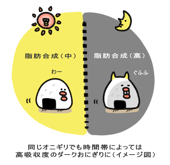 同じオニギリでも時間帯によっては 高吸収度のダークおにぎりに(イメージ図)
