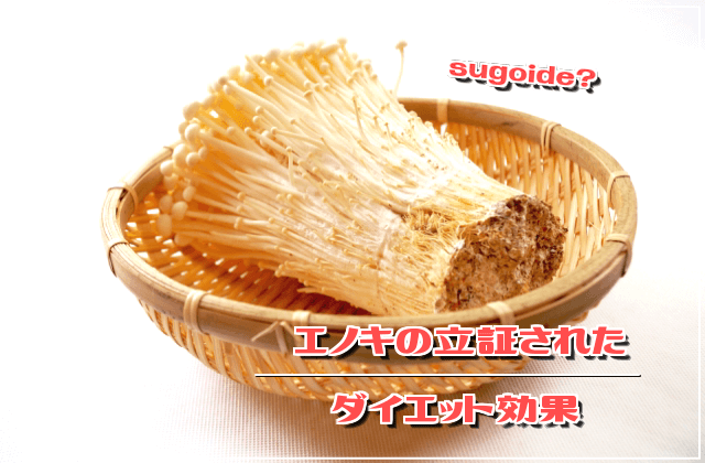 f:id:nekoyamachan:20181119191611p:plain f:id:nekoyamachan:20181119191611p:plain