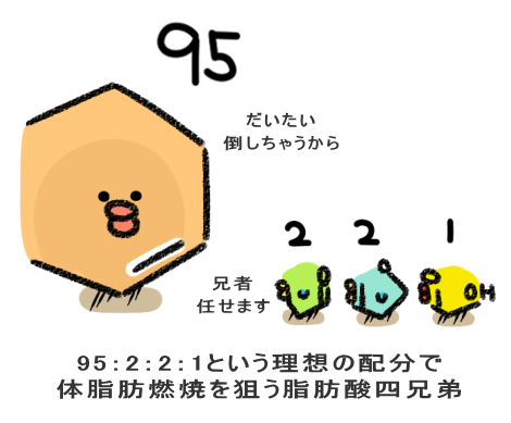 95:2:2:1という理想の配分で 体脂肪燃焼を狙う脂肪酸四兄弟