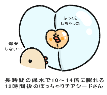 長時間の保水で10~14倍に膨れる 12時間後のぽっちゃりチアシードさん