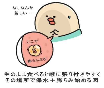 生のまま食べると喉に張り付きやすく その場所で保水+膨らみ始める図