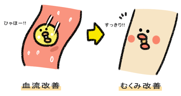 血流改善→足の水分(むくみ)が排出される図