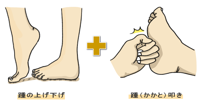 踵の上げ下げ&踵に衝撃を与える