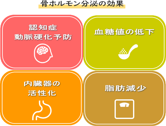認知症・動脈硬化予防 血糖値の低下 内臓器の活性化 脂肪の減少