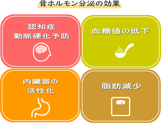 認知症・動脈硬化予防　血糖値の低下　内臓器の活性化　脂肪の減少