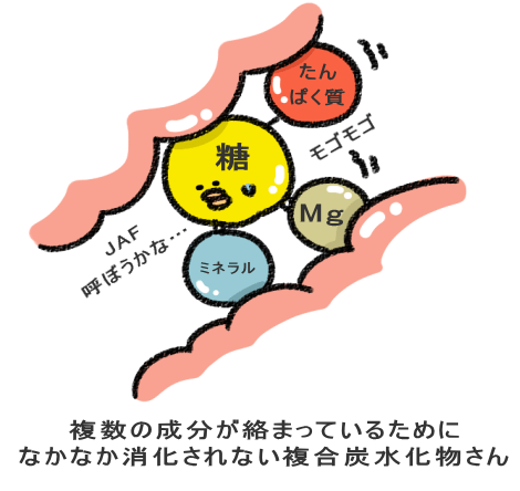 複数の成分が絡まっているために なかなか消化されない複合炭水化物さん