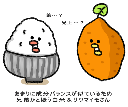 あまりに成分バランスが似ているため 兄弟かと疑う白米&サツマイモさん