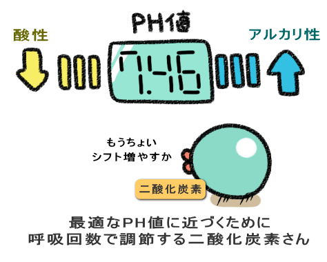 最適なPH値に近づくために 呼吸回数で調節する二酸化炭素さん