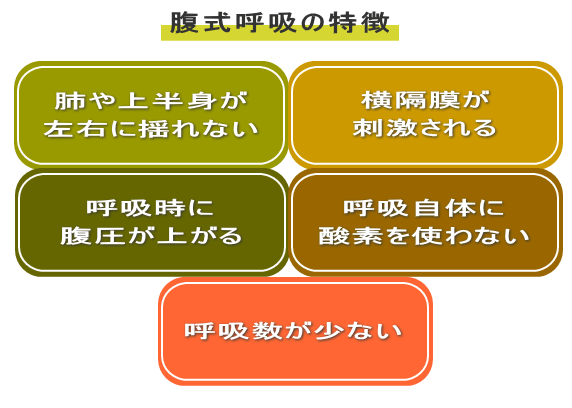 腹式呼吸が持つ特徴