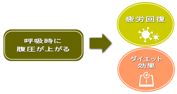 呼吸時に腹圧が上がる