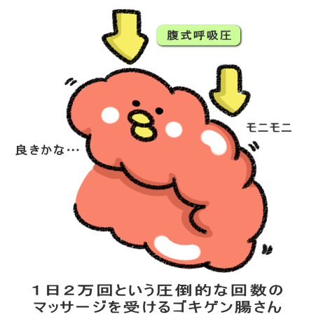 1日2万回という圧倒的な回数の マッサージを受けるゴキゲン腸さん
