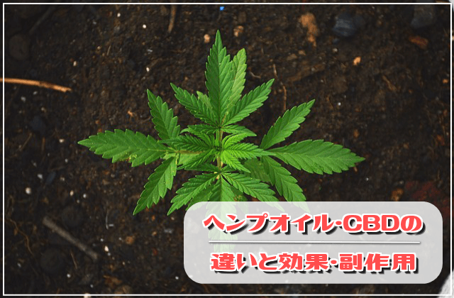これって安全?ヘンプオイル・CBDオイルの違いと効果・副作用とは?
