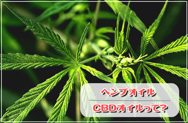 ヘンプオイル・CBDオイルって何?